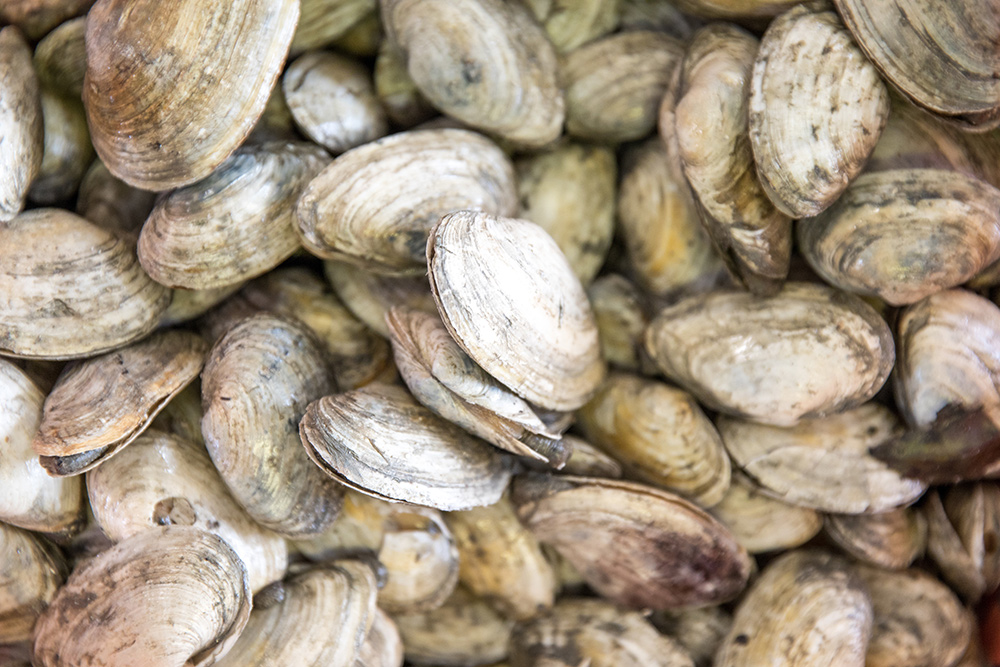 Trip Tip: Cabbage Island Clambake