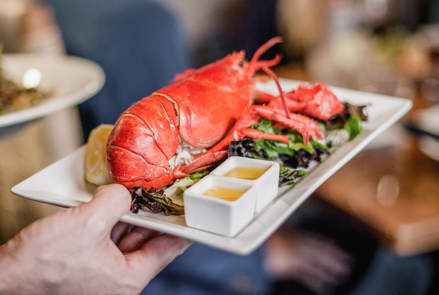 Where to Find the Best Maine Lobster
