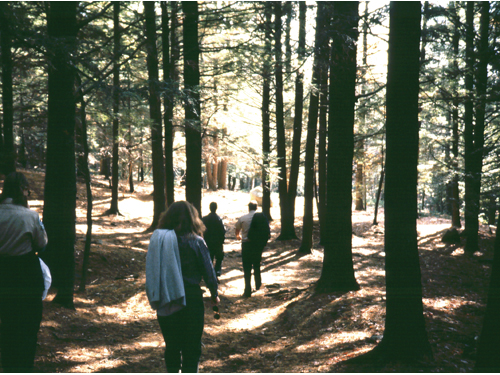 Vaughan Woods State Park