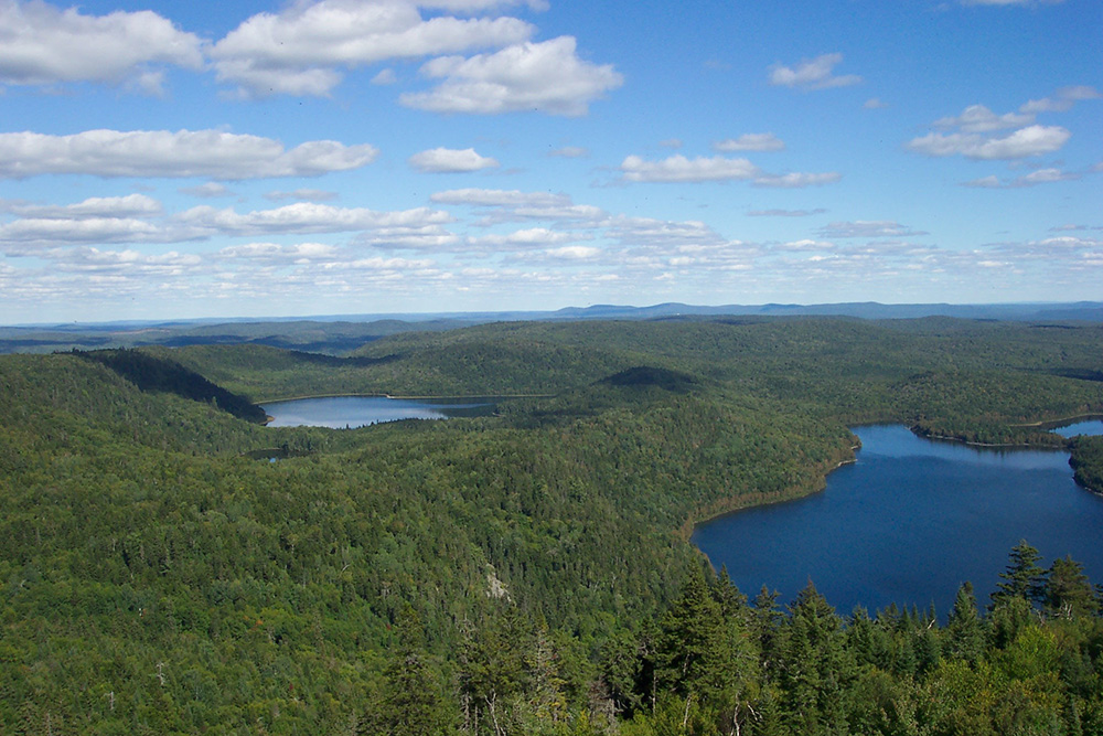 Ausflugstipp: Deboullie Public Lands