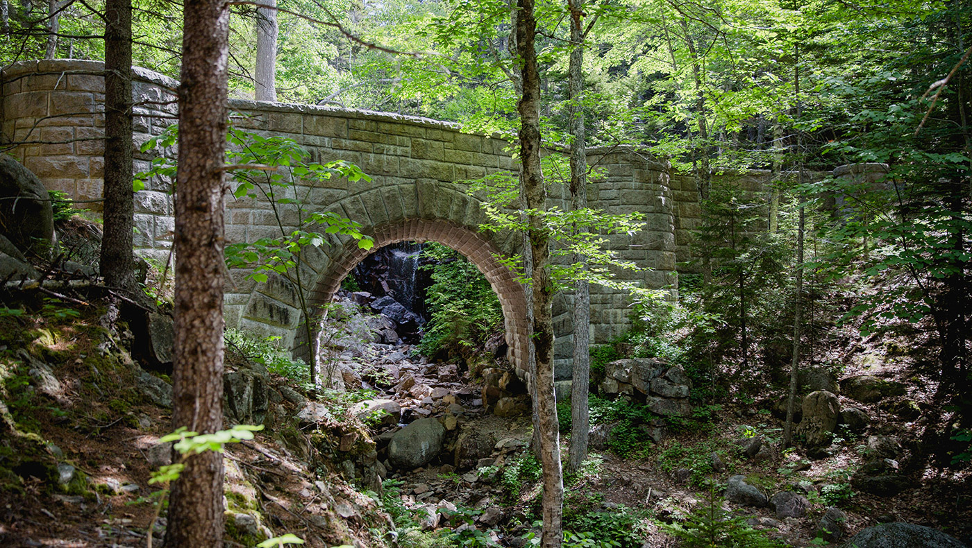Scenic Road Tours of Acadia National Park