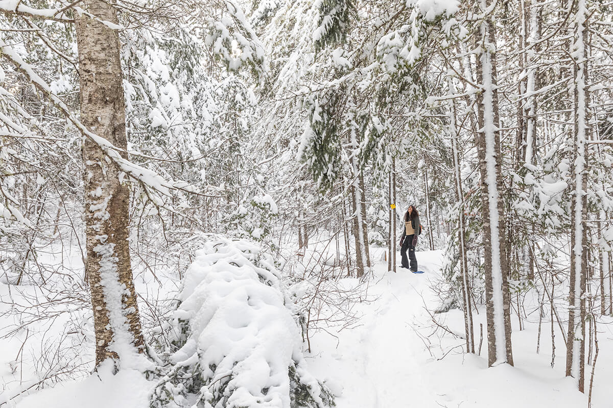 Suggerimento di viaggio: Inverno nella valle del Kennebec