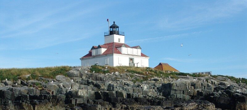 Luz Egg Rock