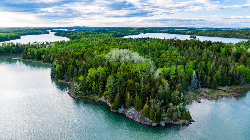 Trip Tip: Cobscook Shores