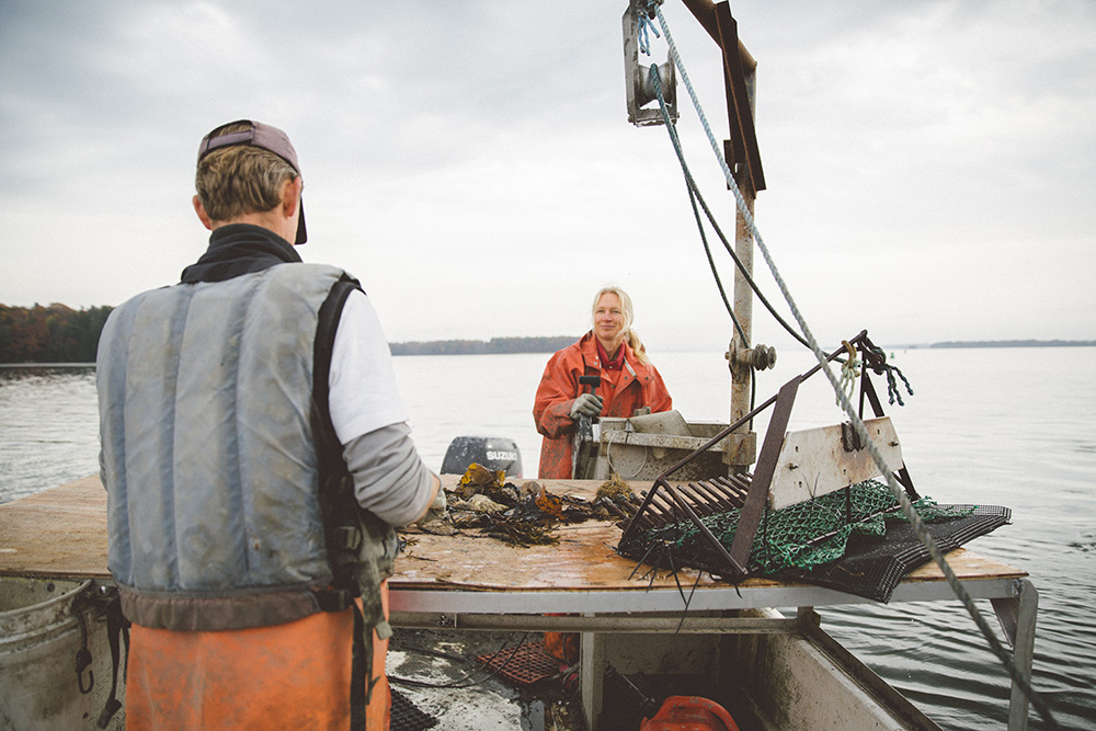 It’s Not All About Lobster: Maine’s Flourishing Oyster Farms