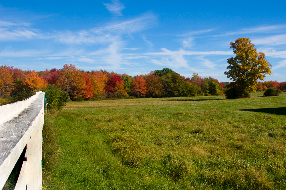 Trip Tip: Wells Reserve at Laudholm