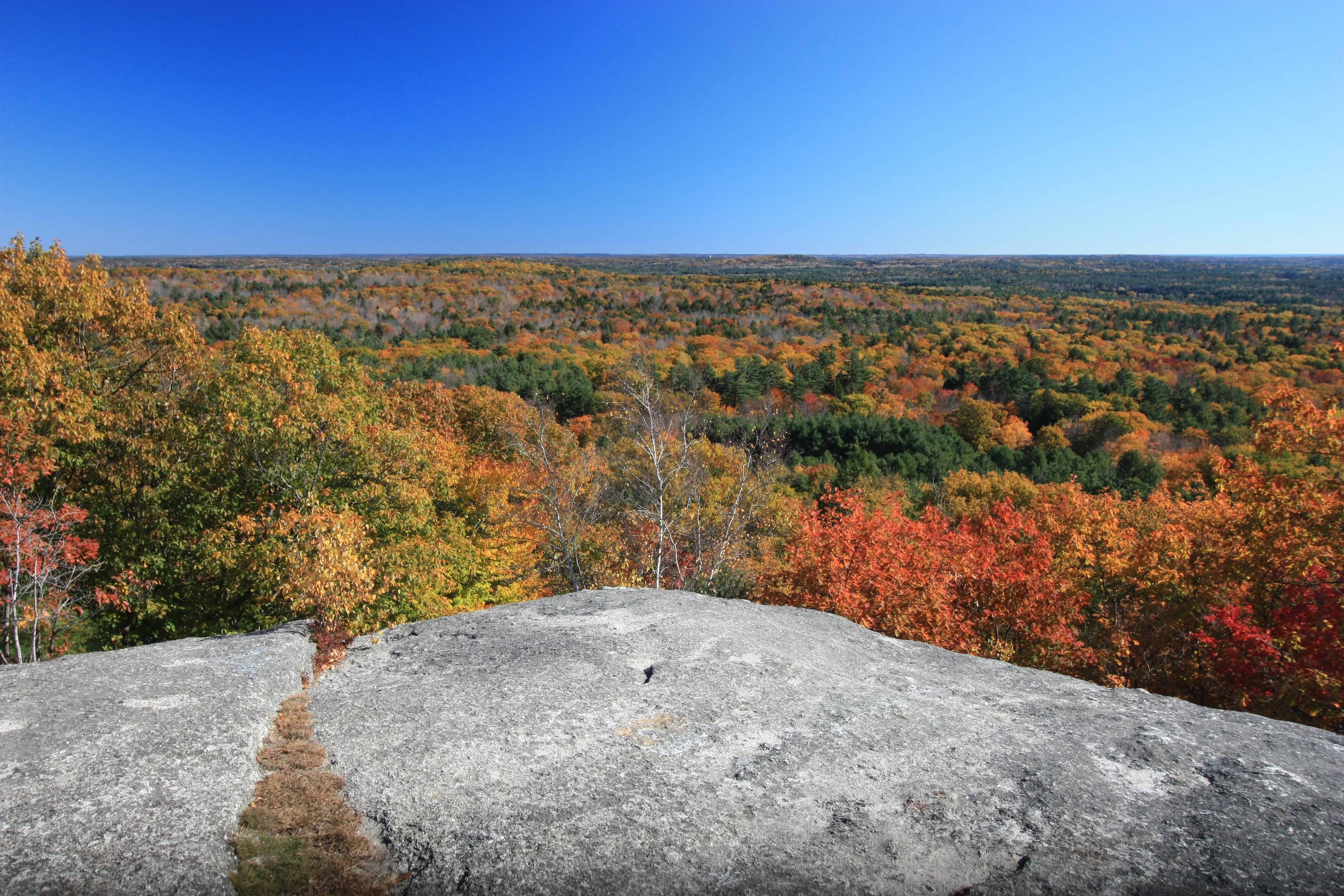 Parc d’État de Bradbury Mountain