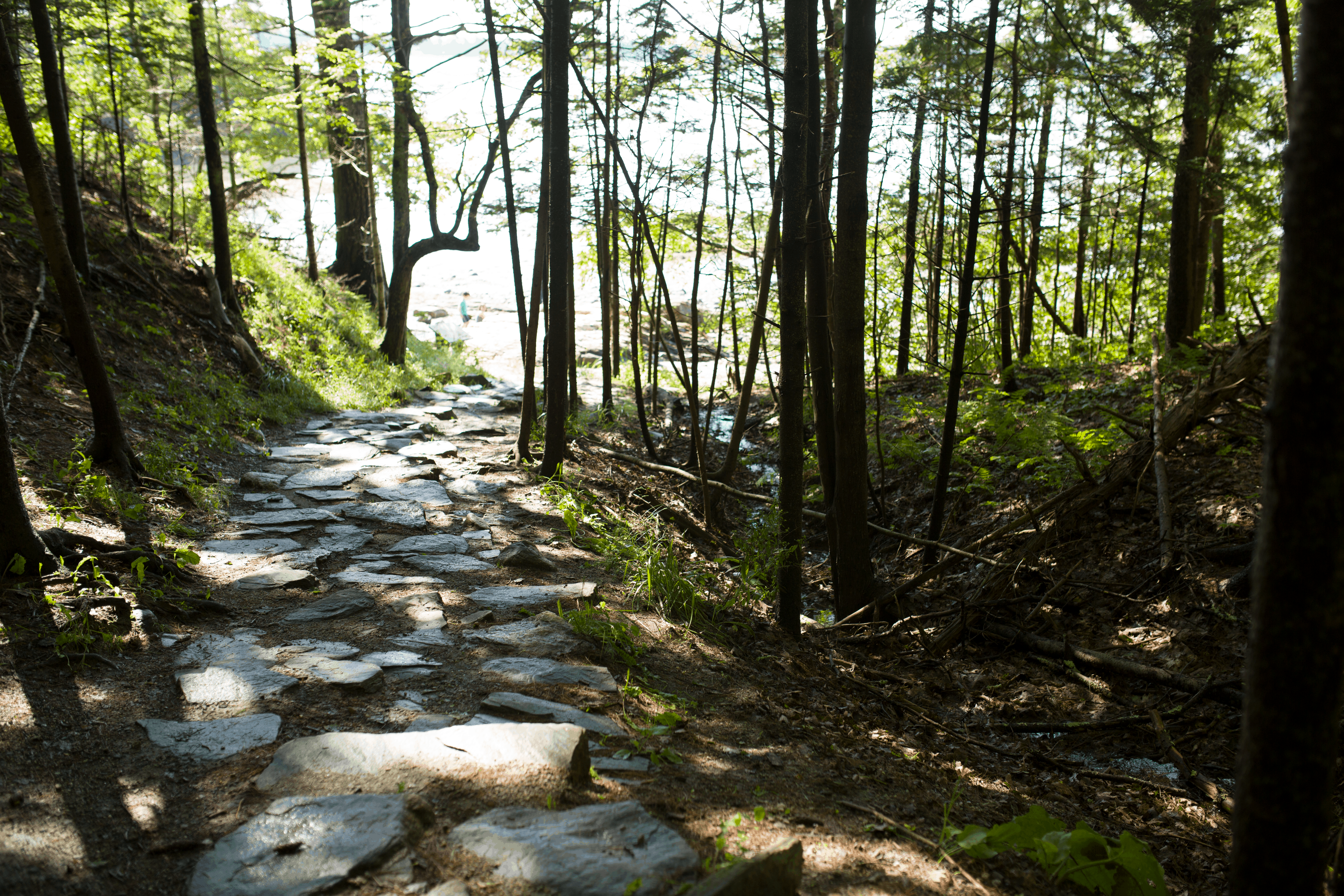 Conseil de voyage : Parc d’État Wolfe’s Neck Woods