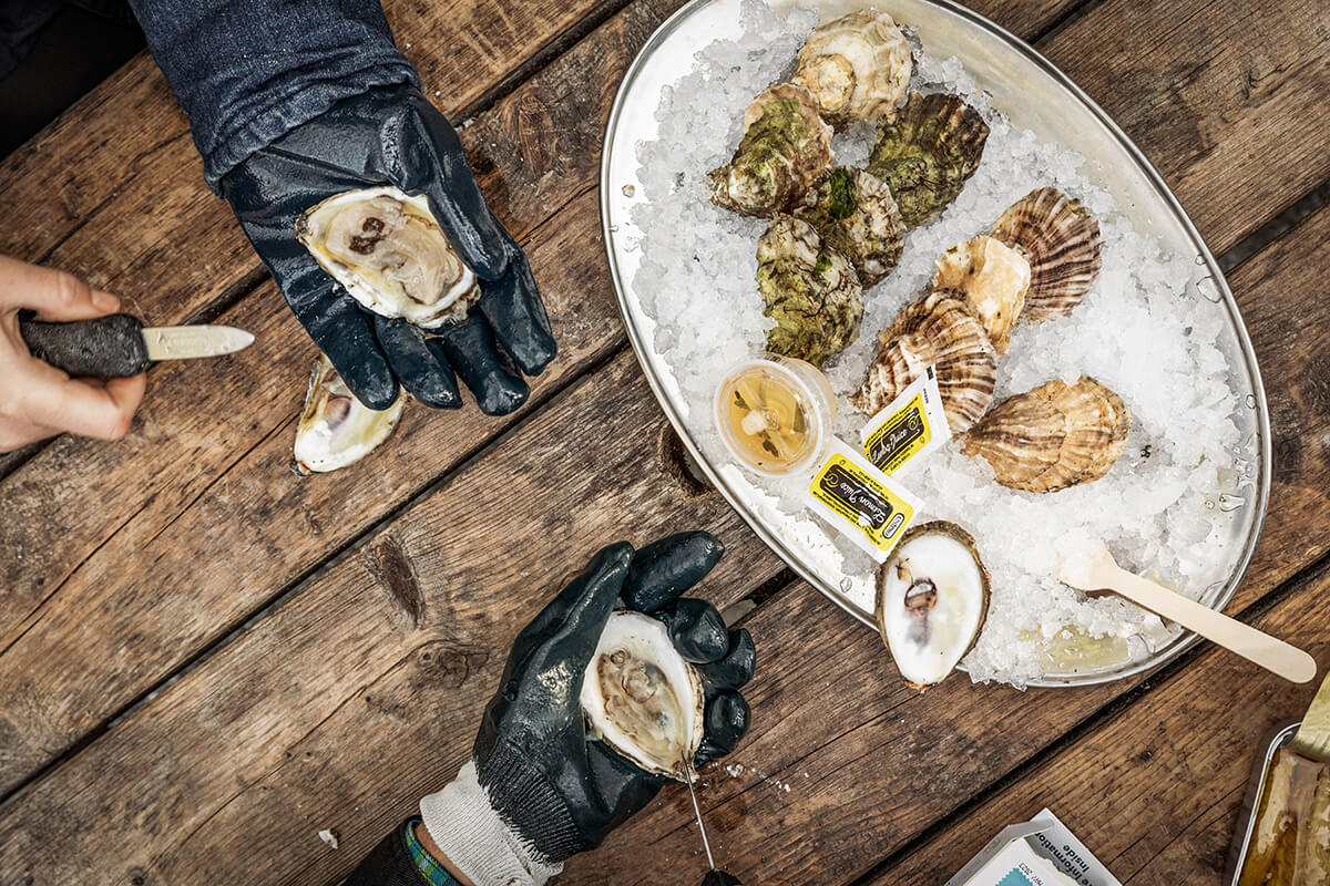 Trip Tip: The Maine Oyster Trail