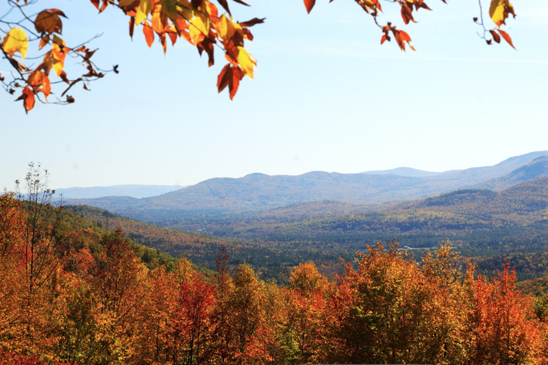 Guide du camping à la forêt nationale de White Mountain