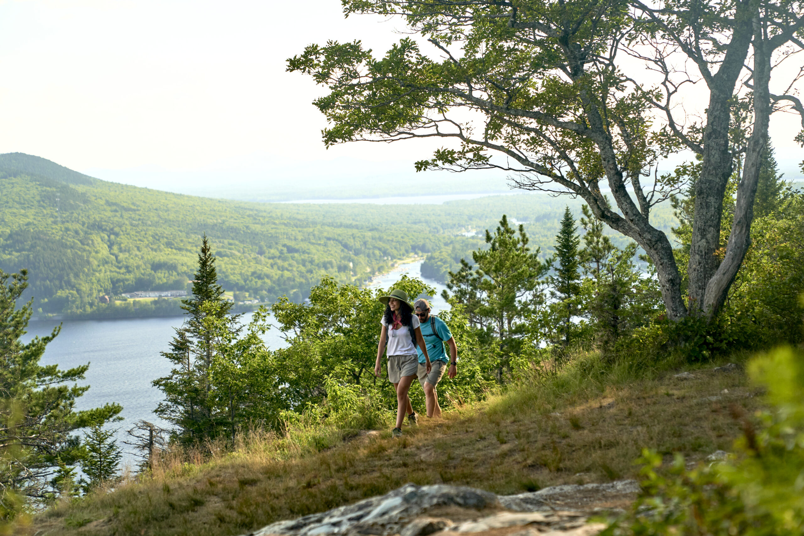 Maine visual data 3