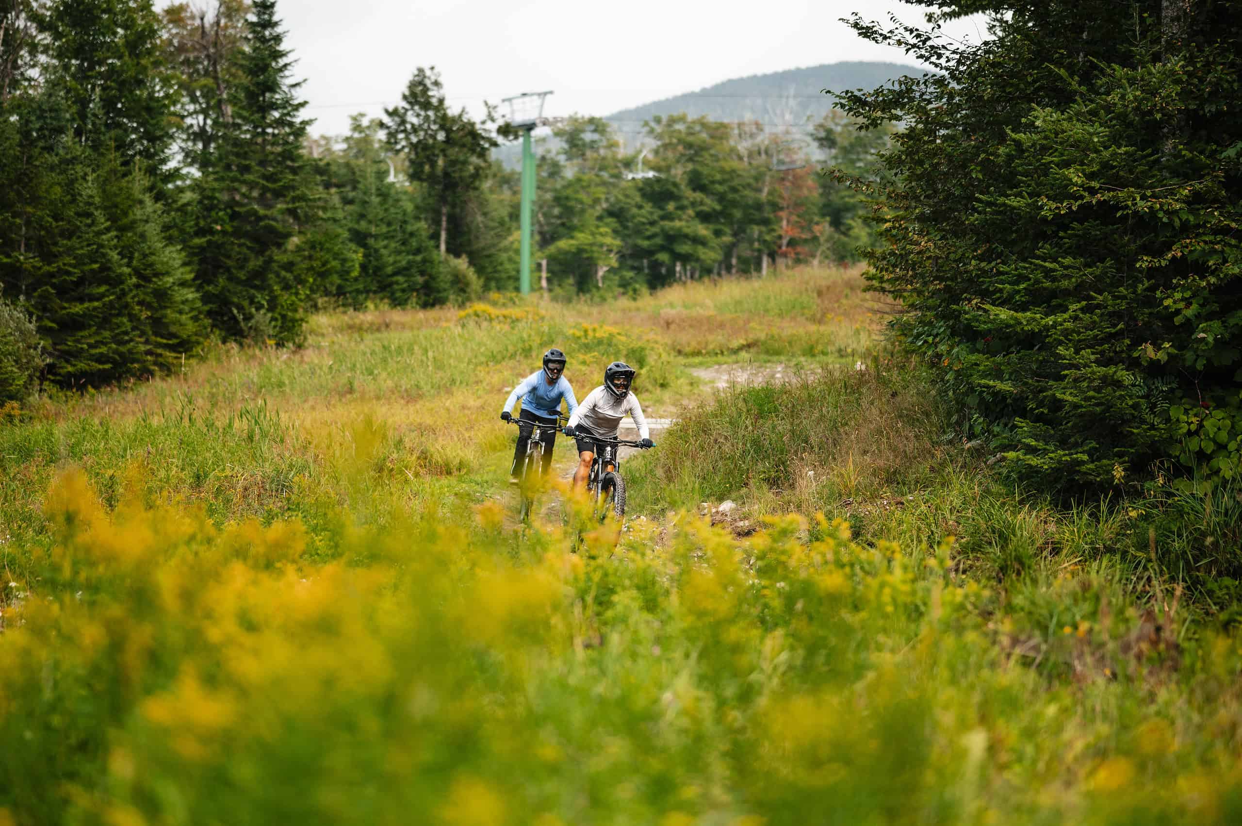 Two people wearing helmets ride mountain bikes on a grassy trail surrounded by trees and wildflowers, with hills visible in the background.