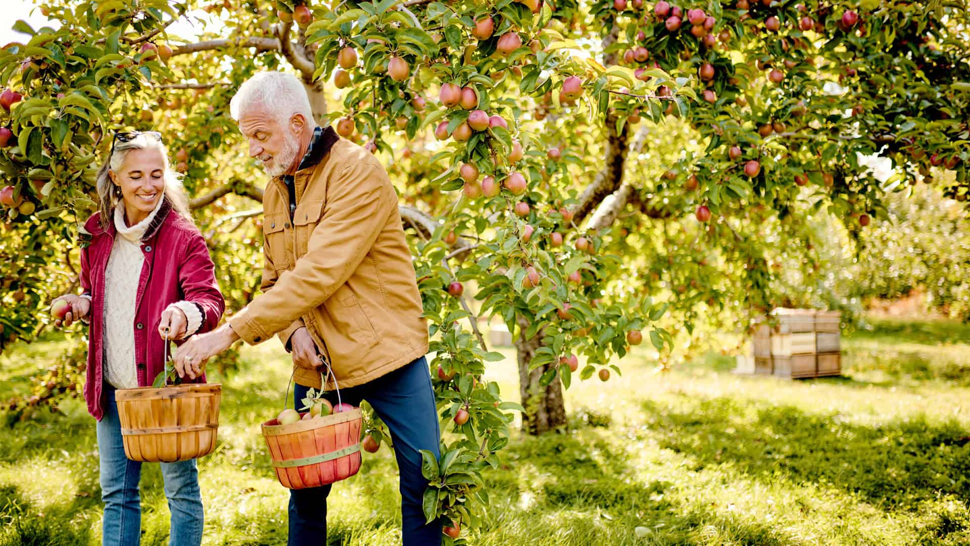 Farm Experiences &amp; Farmers' Markets