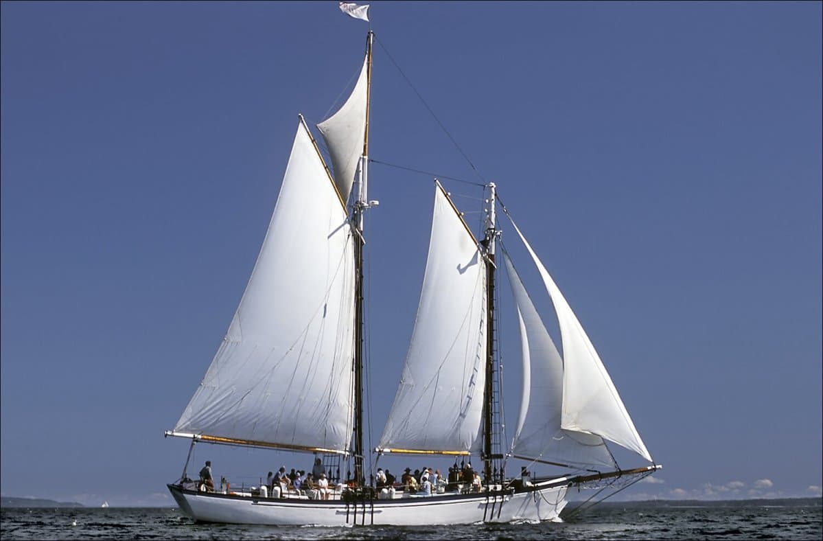 A large sailboat with white sails glides on open water under a clear blue sky, with a group of people on deck.