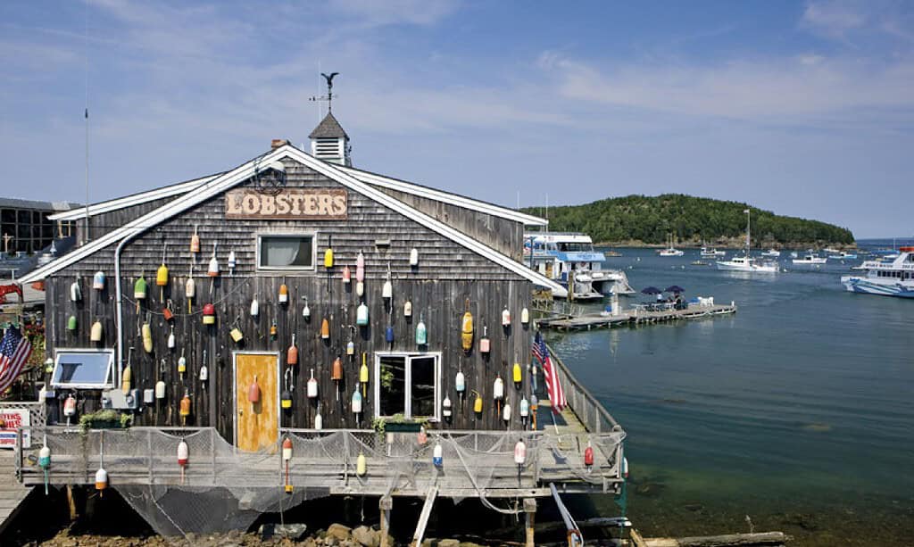 A rustic wooden building in Bar Harbor labeled "Lobsters" is decorated with colorful buoys and overlooks a calm harbor with docked boats and an island in the background in Arcadia National Park.