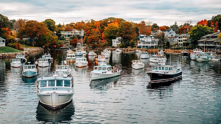 A calm harbor filled with numerous anchored small boats on a cloudy day, surrounded by houses and trees with colorful autumn foliage.