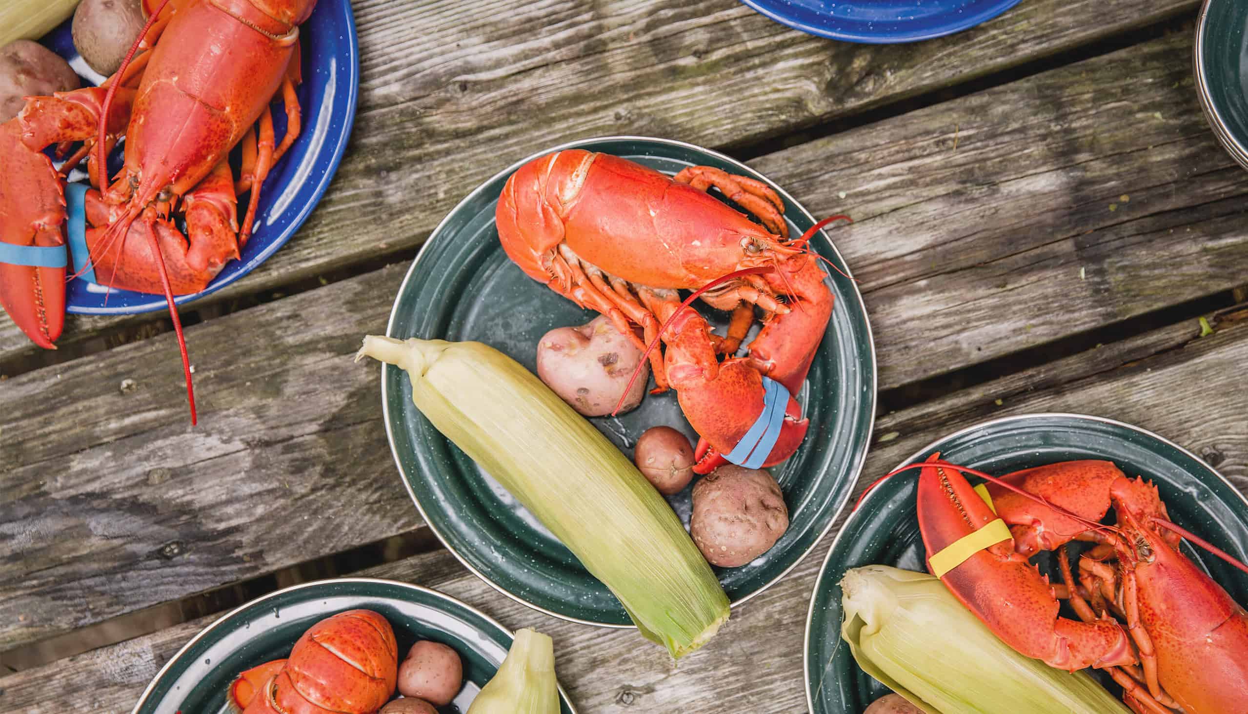 Plates on a wooden table with boiled lobsters, corn on the cob, and red potatoes, ready to be eaten.