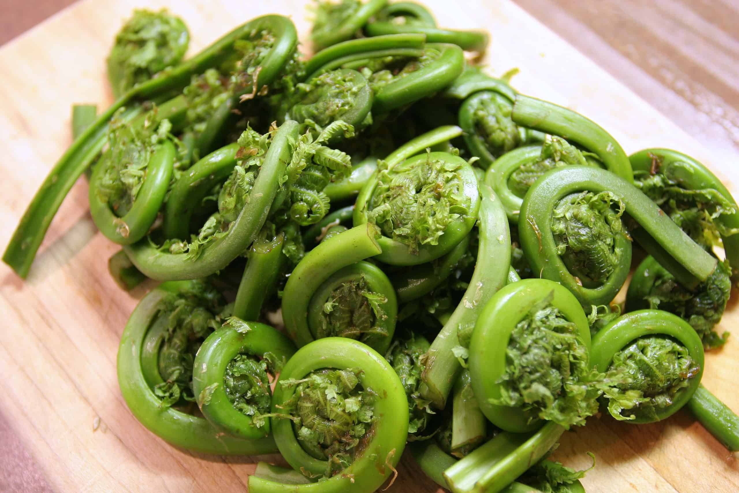 Fiddleheads: Maine’s Springtime Delicacy