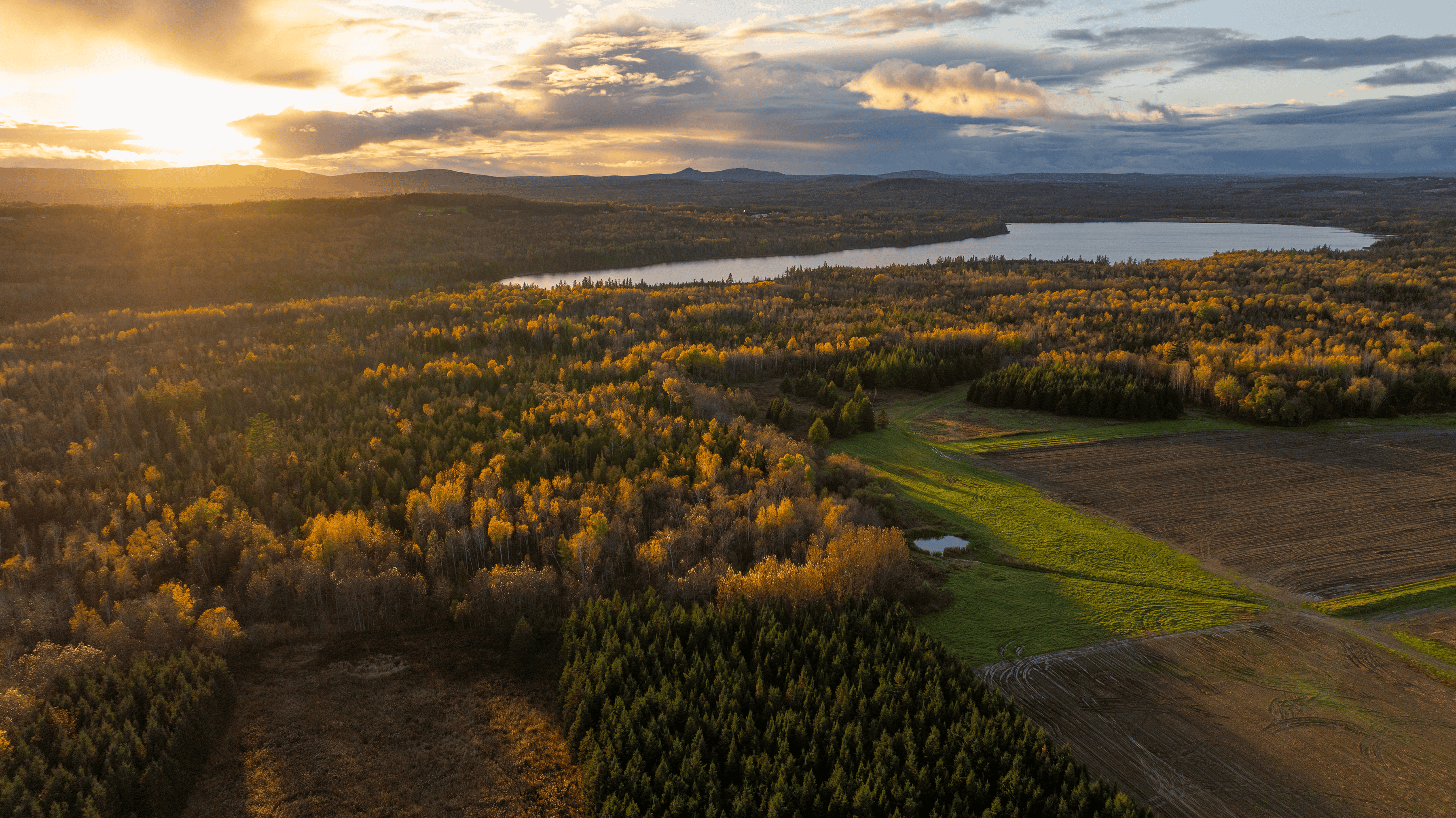 Houlton