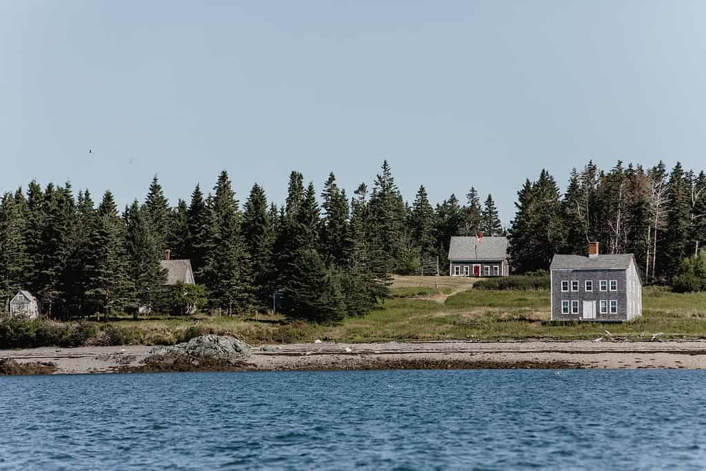 Coastal scene with three gray houses surrounded by evergreen trees, set near a rocky shoreline and calm blue water under a clear sky.