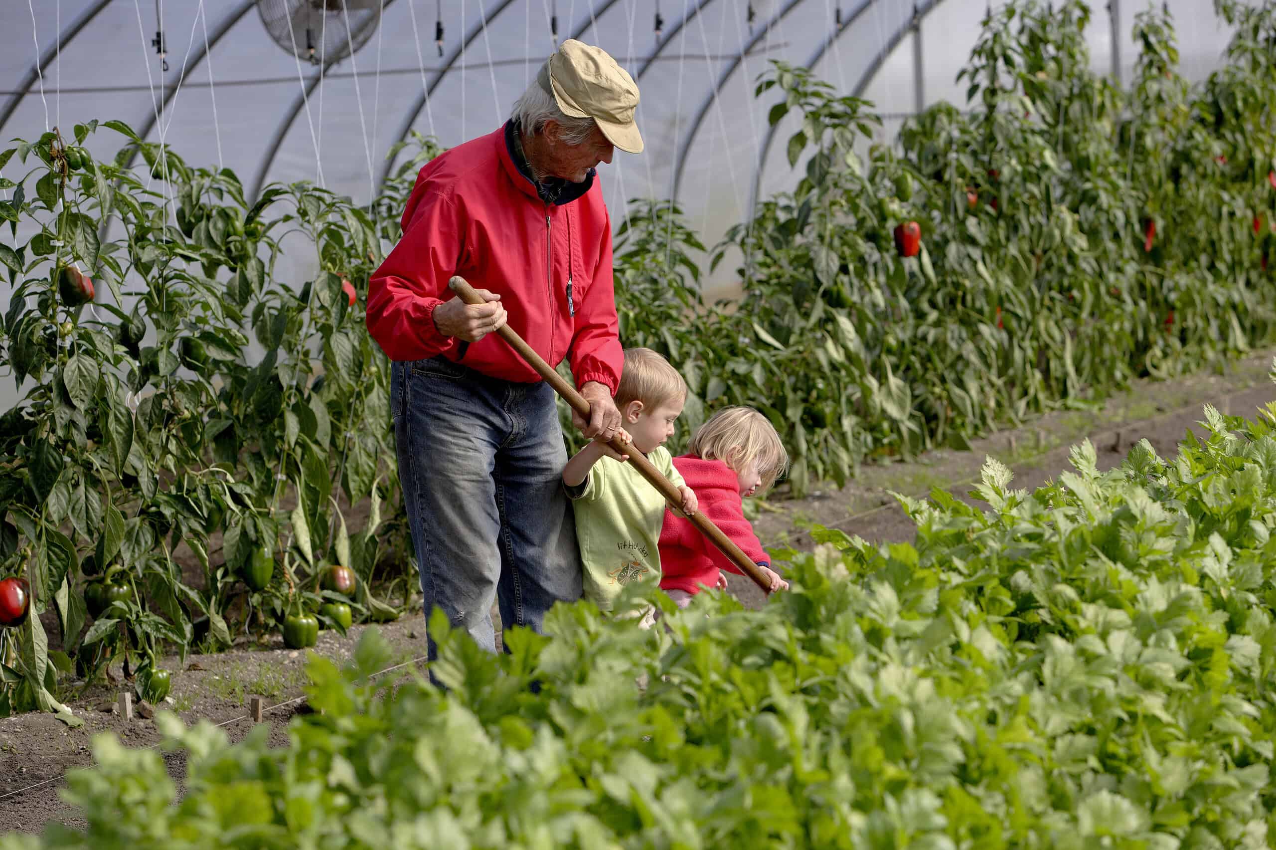 Grown, Gathered & Grateful: A Maine Memory in Meals