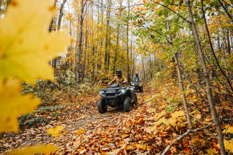 Exploring with Expertise