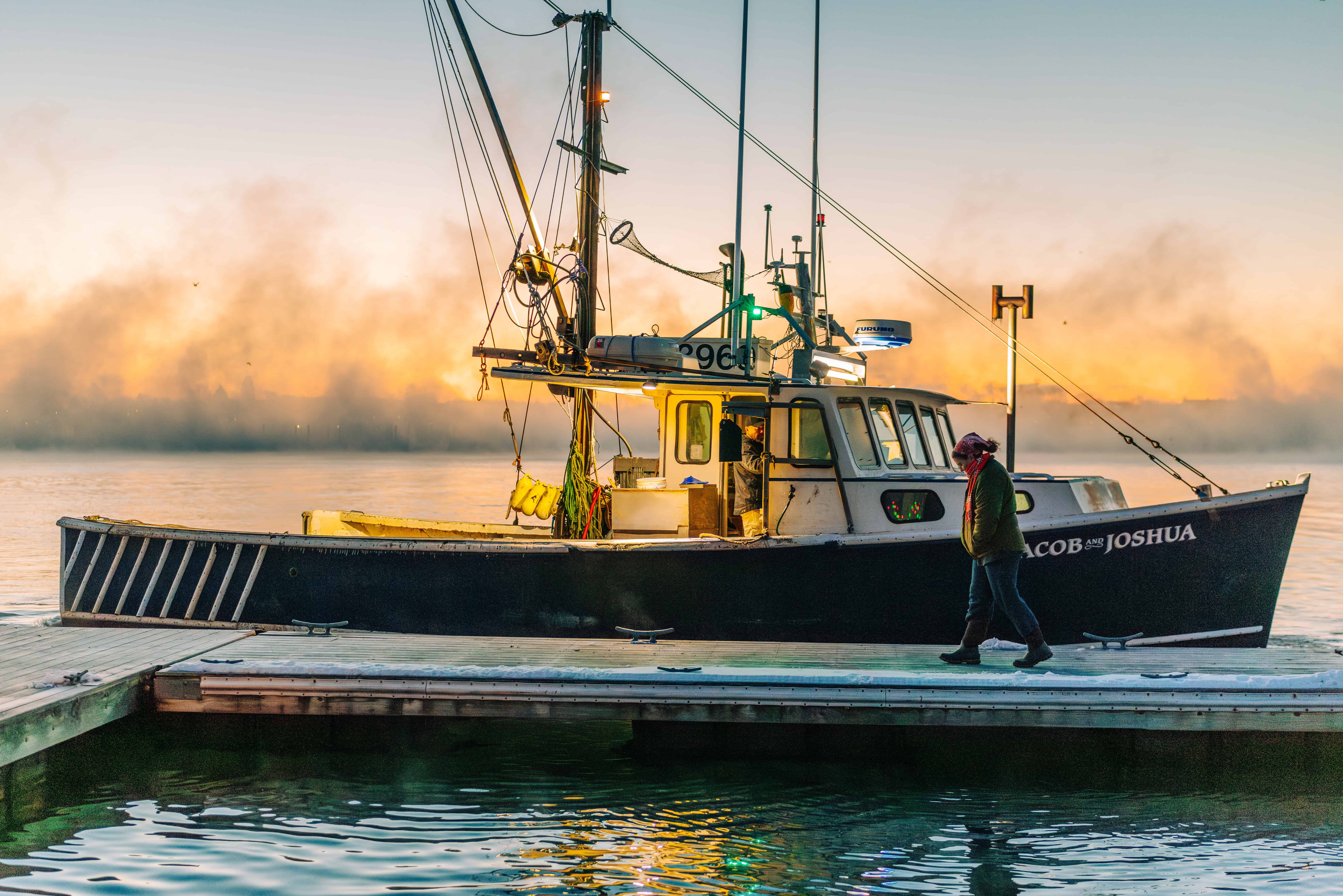 Tasting Winter Tides: Inside Maine’s Wild Scallop Season