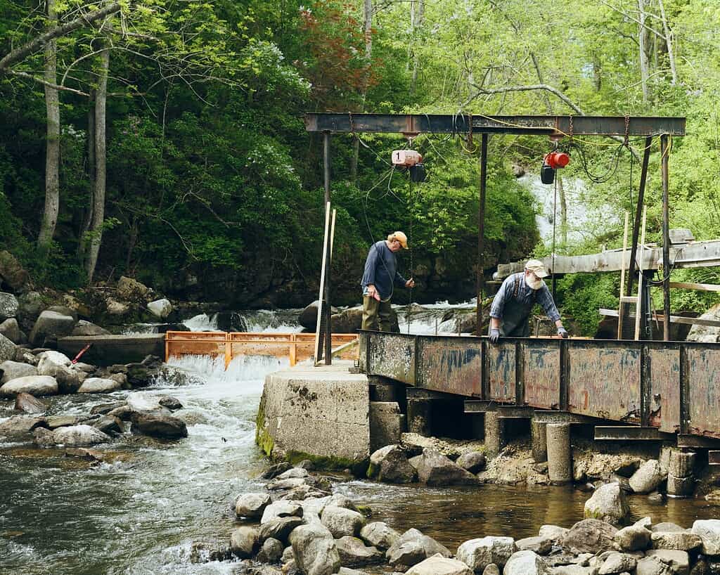 two men on a fish ladder