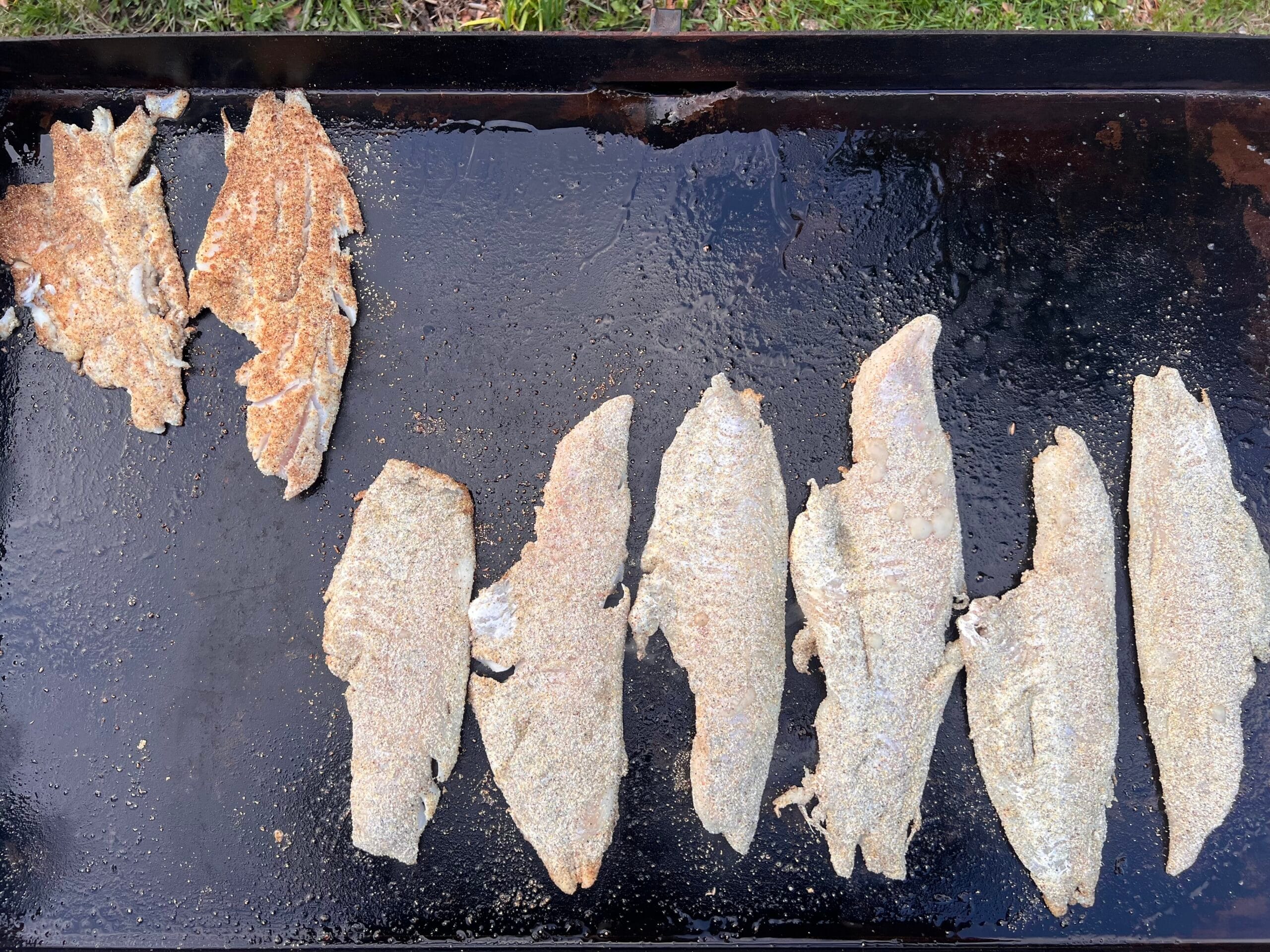 Cornmeal-Crusted Haddock