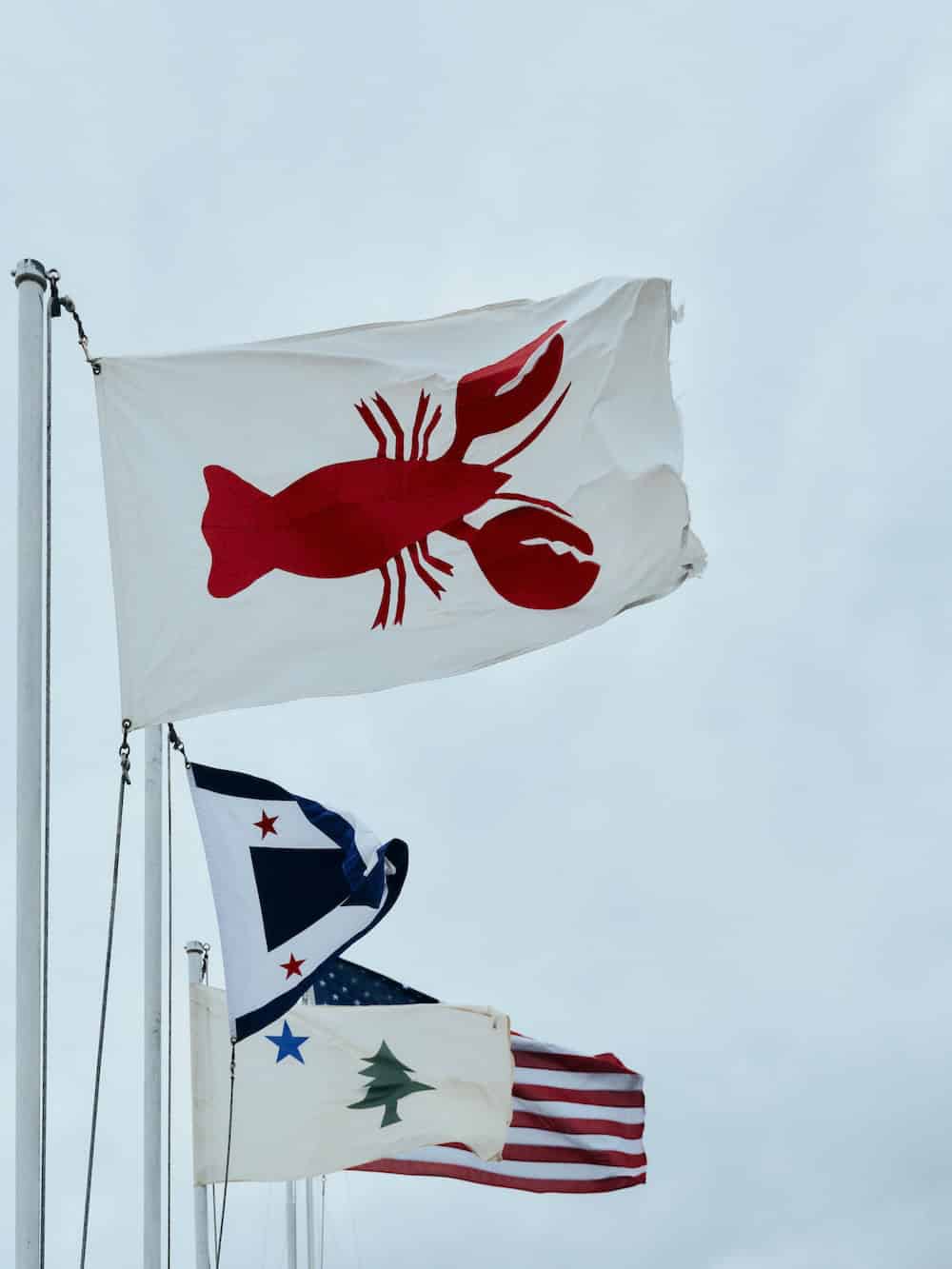 A white flag with a red lobster silhouette flying above three other flags on poles against a gray sky.